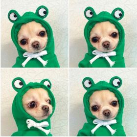 Cute Fruit Dog Clothes For Small Dogs Hoodies Winter Warm Fleece Pet Clothing Puppy Cat Costume Coat For French Chihuahua Outfit (Option: 5 Style-S)