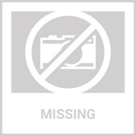 Heated Water Bowl For Dogs And Cats Ceramic Heated Pet Water Bowl Food Warmer USB Powered Thermal Pet Bowl Provide Fresh Non Freezing Drinkable Water (Option: 1Bowl)