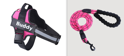 Fashion Simple Pet Leash Chest Strap Set (Option: Pink-M)