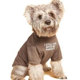 Pet Clothes Round Neck T-shirt (Option: Khaki-XXL)